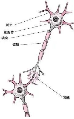 开云全站【育儿学问】中青异日早熏陶儿理念(图2)