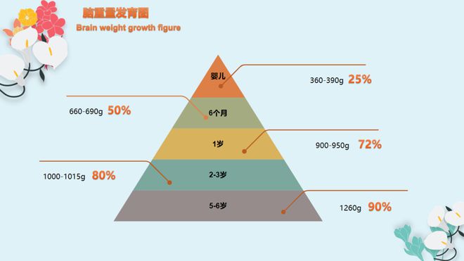 开云全站【育儿学问】中青异日早熏陶儿理念(图1)